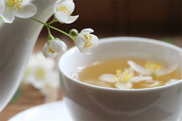 サボテンの植え替えが怖くない！安全な方法を実体験から解説