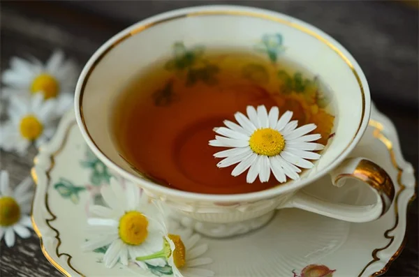 深紅色の花で劇的に変わるガーデンデザイン！プロが選ぶおすすめ5選