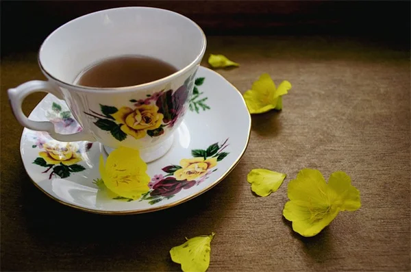 Lidl Parkside 30ドルトレリス付きプランター、小さすぎる？正しい使い方と育てられる植物