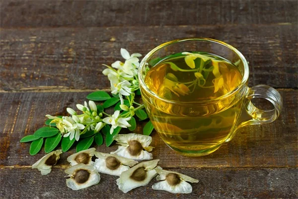 植物の悲鳴は本当？科学でわかった真実と農業での活用法