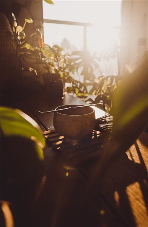 植物の悲鳴は本当？科学でわかった真実と農業での活用法